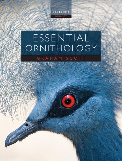 Essential Ornithology
