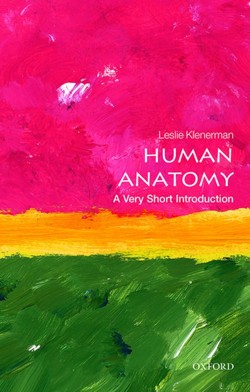 Human Anatomy