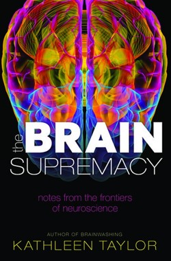 The Brain Supremacy