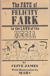 The Fate of Felicity Fark in the Land of the Media
