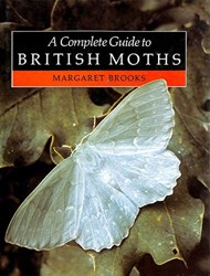 A Complete Guide to British Moths