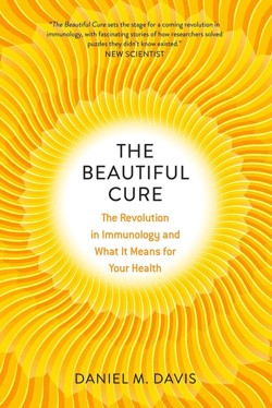 The Beautiful Cure