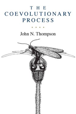 The Coevolutionary Process