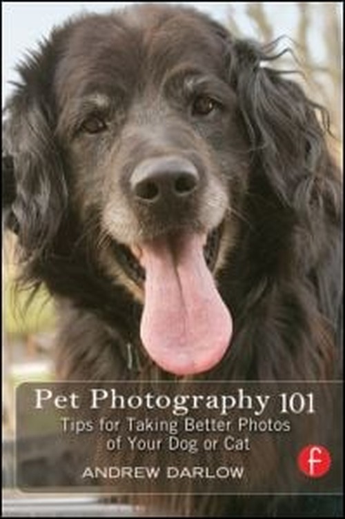Pet Photography 101
