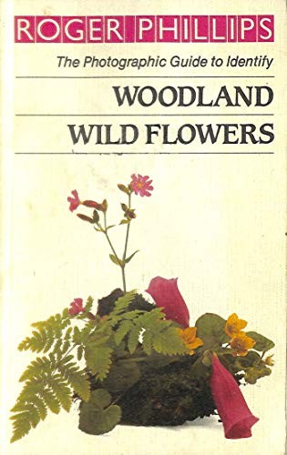 Woodland Wild Flowers