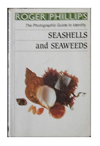 Seashells & Seaweeds