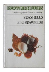 Seashells & Seaweeds