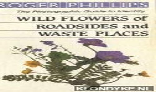 Wild Flowers of Roadsides And Waste Places