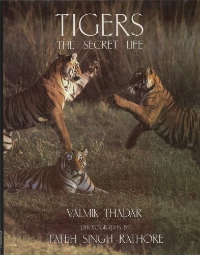 Tigers
