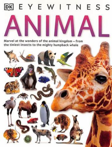 Animal (DK Eyewitness)