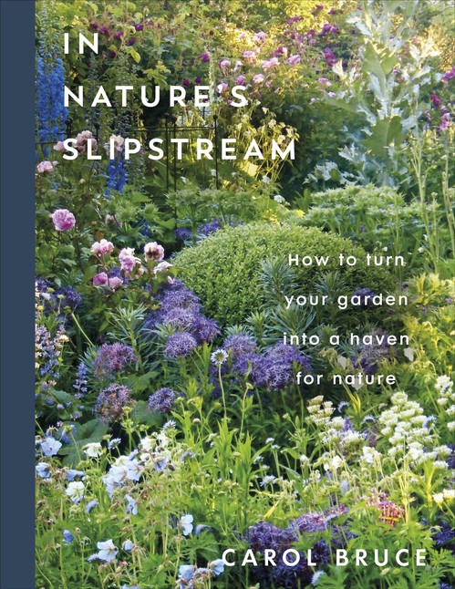 In Nature's Slipstream