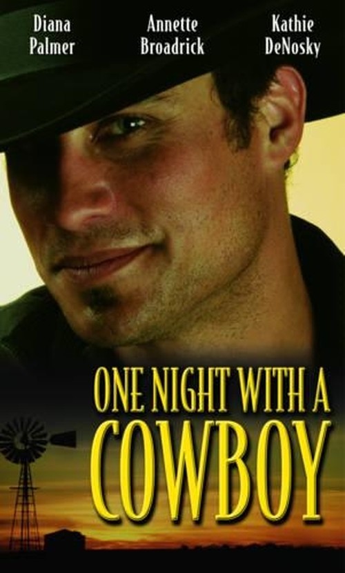 One Night with a Cowboy