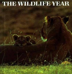 Wildlife Year