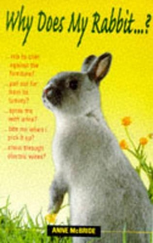 Why Does My Rabbit...?