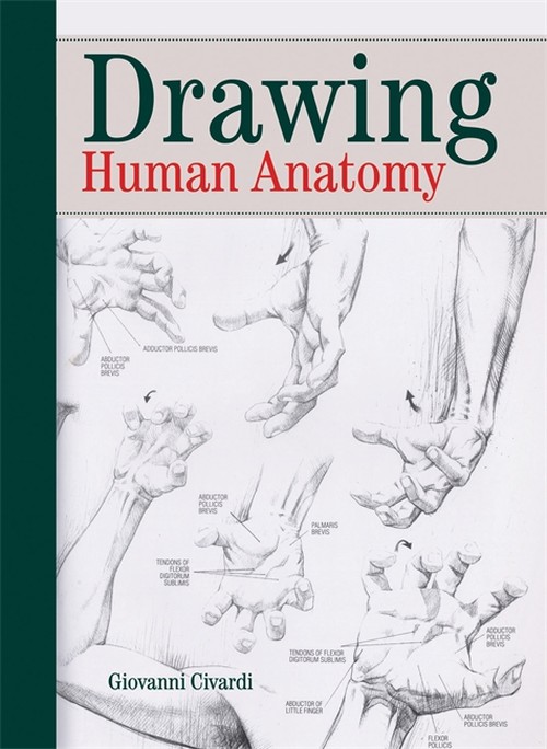 Drawing the Human Anatomy