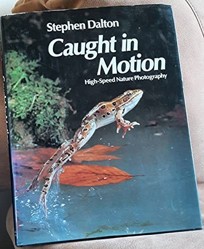 Caught in Motion