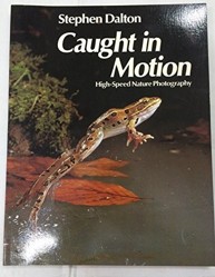 Caught in Motion