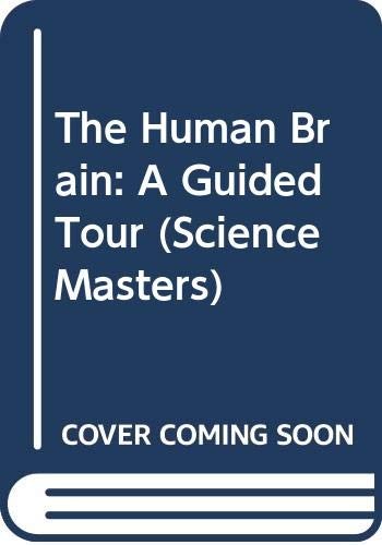 The Human Brain