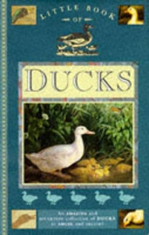 Little Book of Ducks