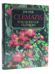 Clematis