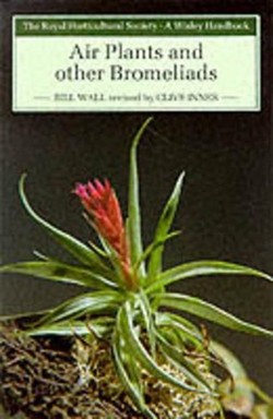 Air Plants and Other Bromeliads