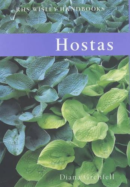 Hostas