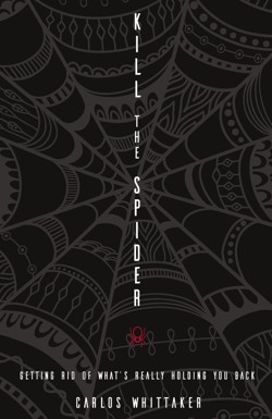 Kill the Spider
