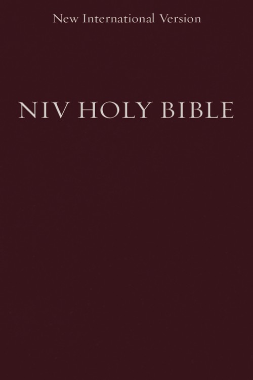 NIV, Holy Bible, Compact, Paperback, Burgundy