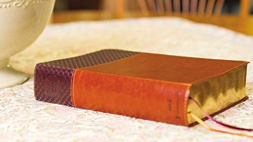 Kenneth L Barker - NIV Study Bible, Fully Revised Edition (Study Deeply. Believe Wholeheartedly.), Large Print, Leathersoft, Brown, Red Letter, Comfort Print