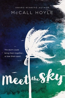 Meet the Sky