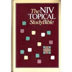 The New International Version Study Bible