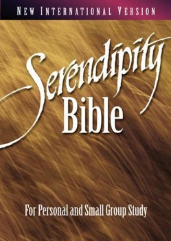 NIV Serendipity Bible