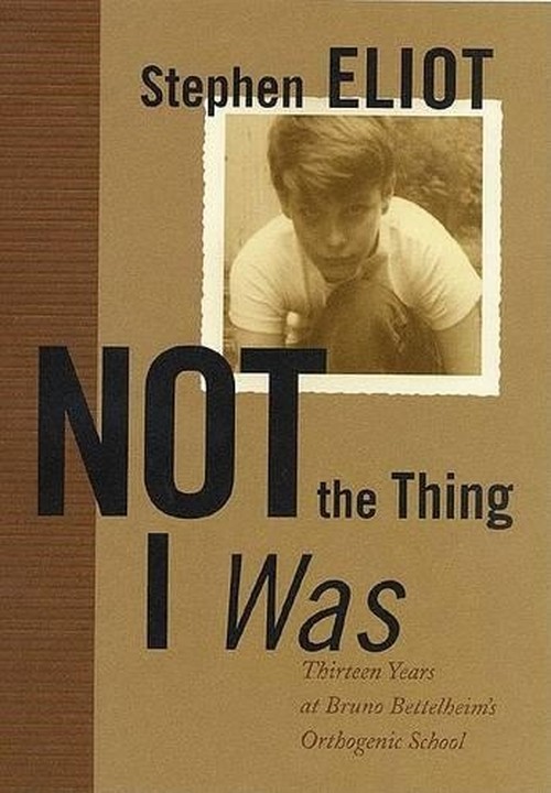 Not the Thing I Was