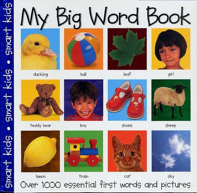 My Big Word Book