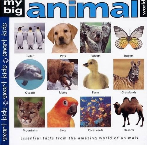 My Big Animal World