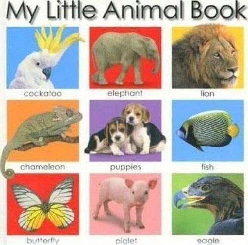 My Little Animal Book