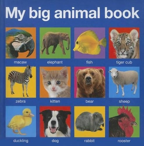 My Big Animal Book