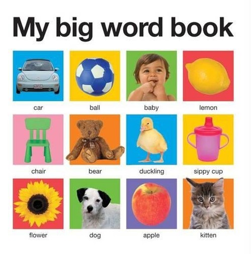 My Big Word Book