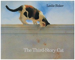 The Third-Story Cat