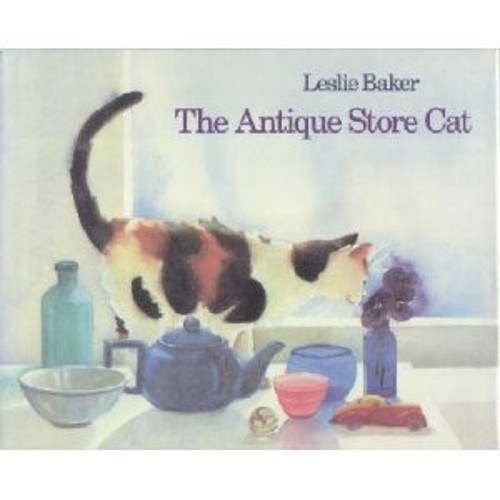 The Antique Shop Cat