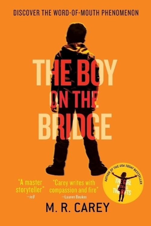 The Boy on the Bridge
