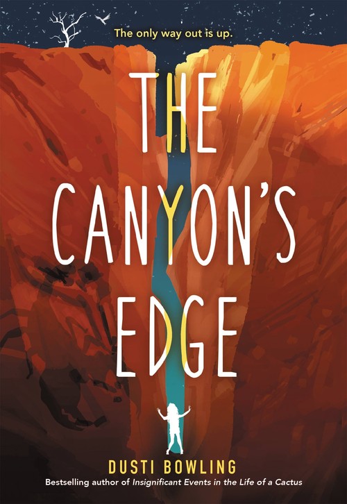 The The Canyon's Edge