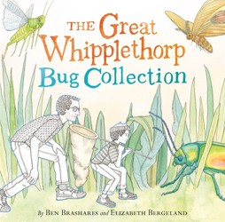 The The Great Whipplethorp Bug Collection