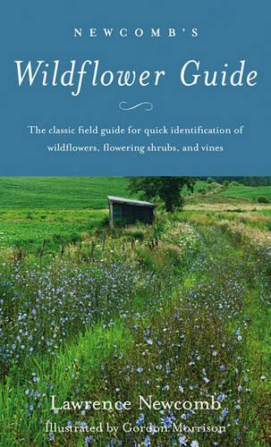 Newcomb's Wildflower Guide