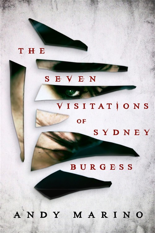 The The Seven Visitations of Sydney Burgess