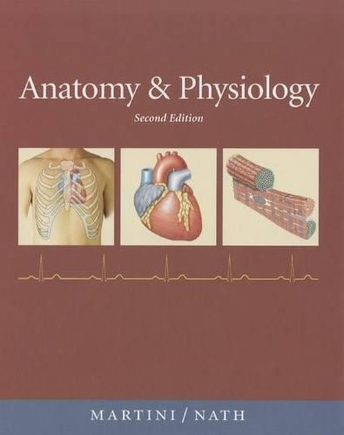Anatomy & Physiology