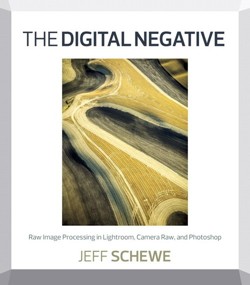 The Digital Negative