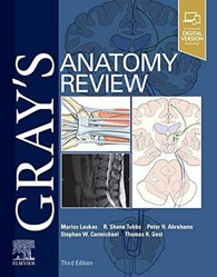 Gray's Anatomy Review