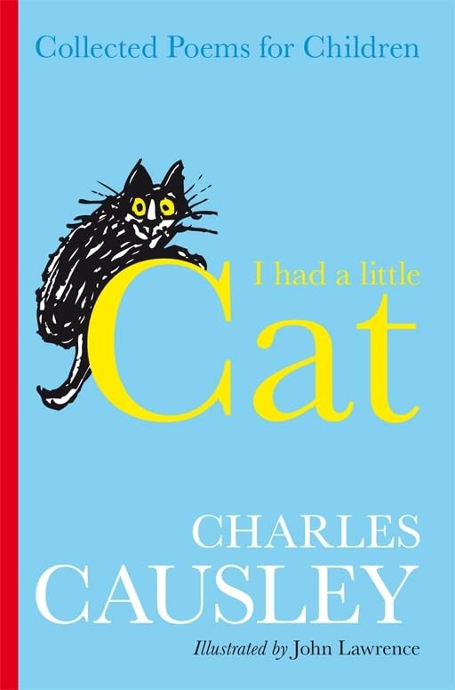 I Had A Little Cat