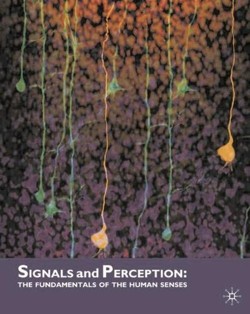 Signals and Perception